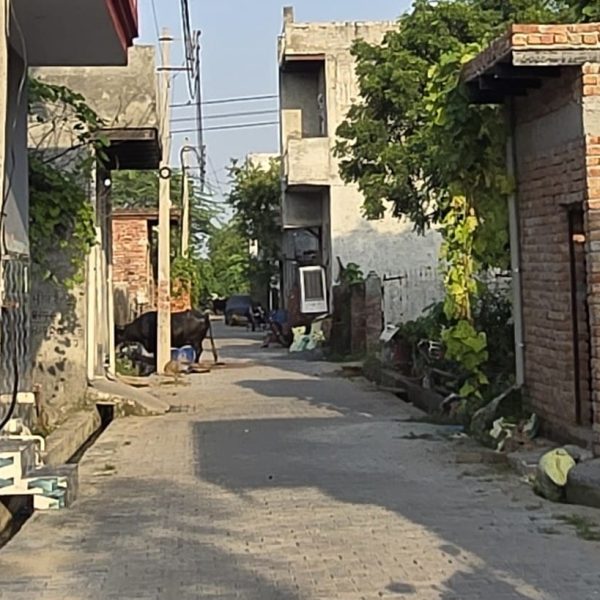 plots in sikri ballabhgarh