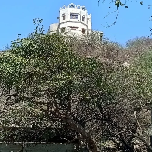 Property Dealers in kosi kalan
